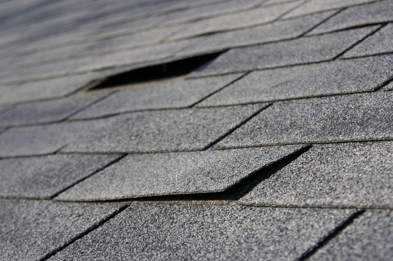 Inspecting Roof Shingles