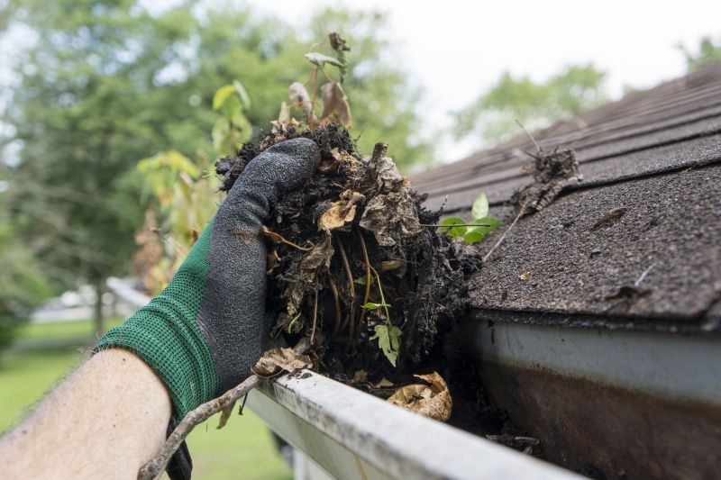 Cleaning Roof Debris